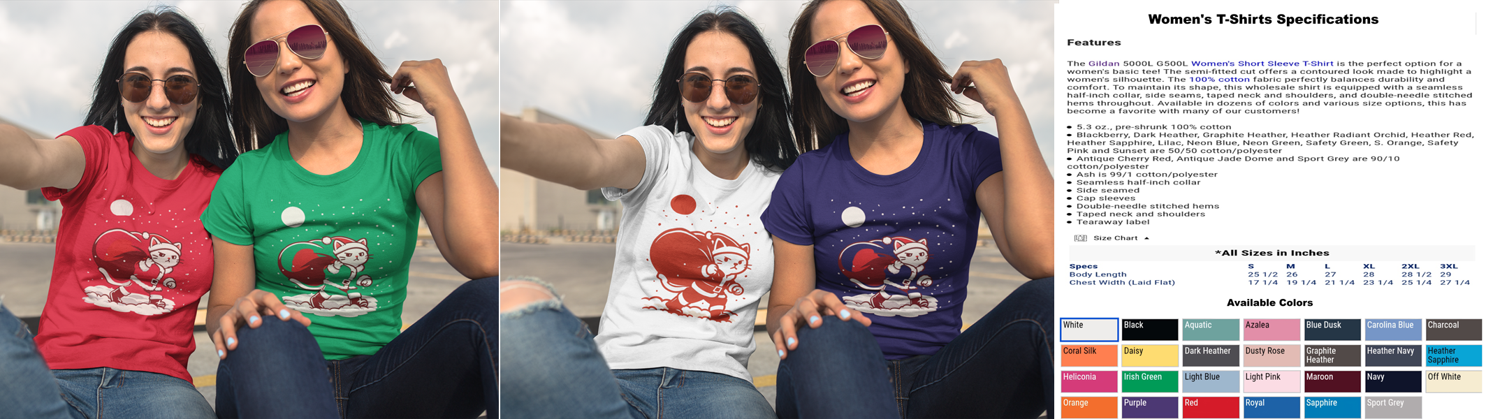 Santa Cat Brings Gifts