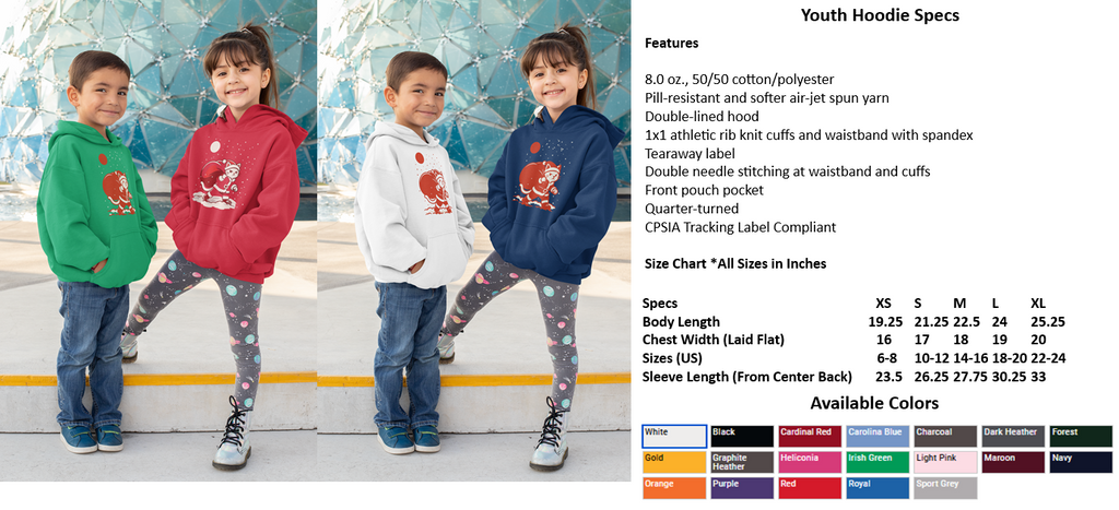 Santa Cat Brings Gifts