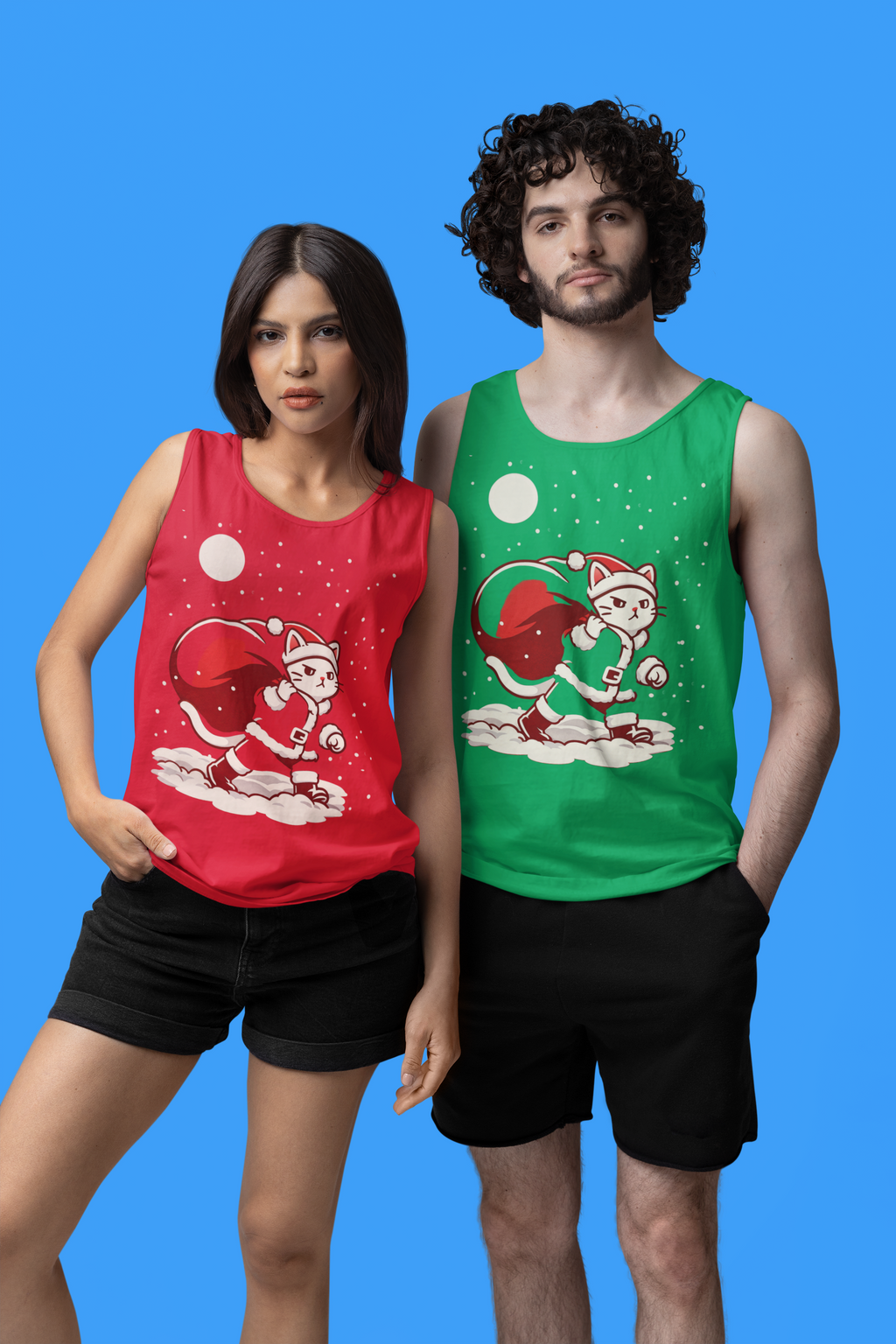 Santa Cat Brings Gifts