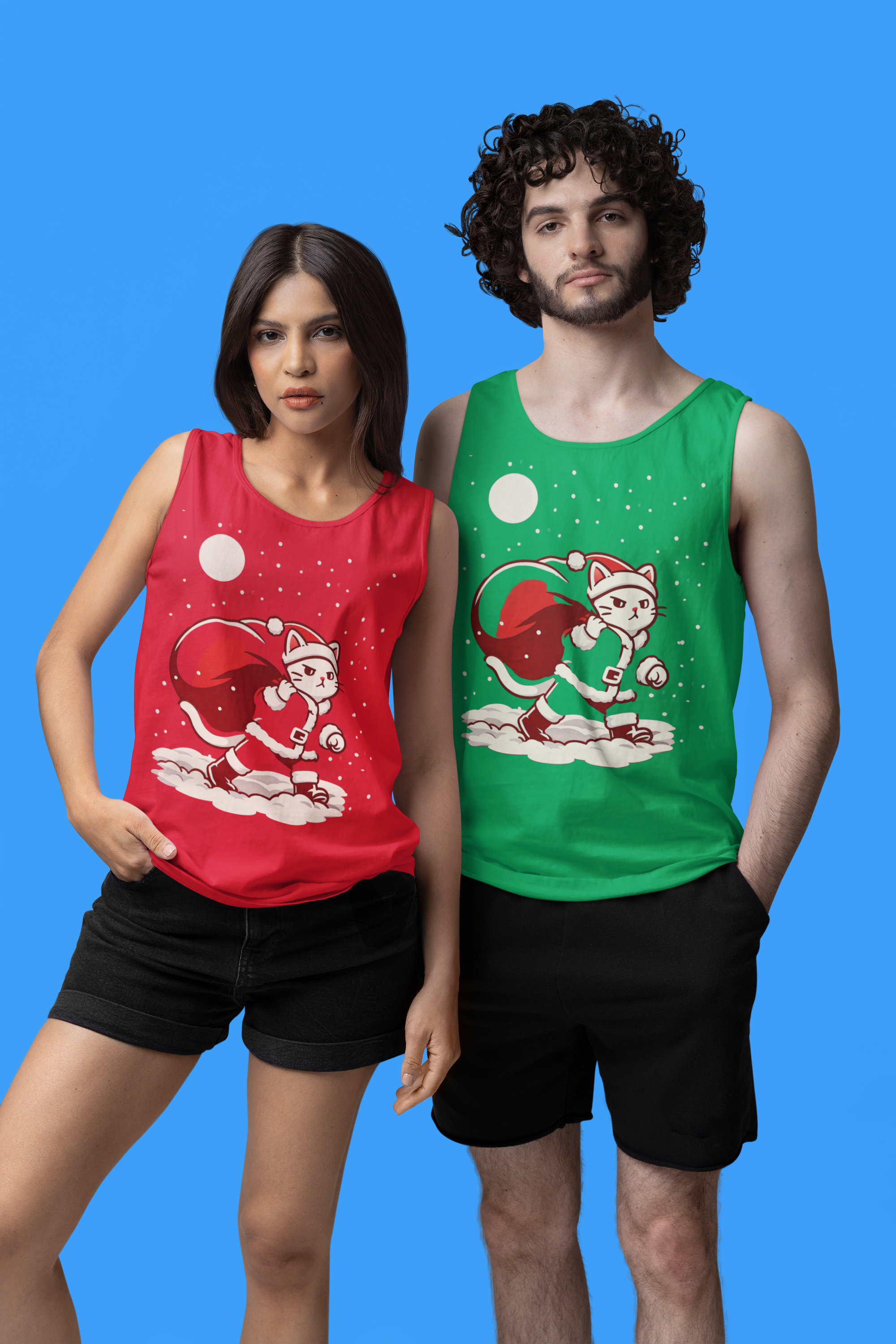 Santa Cat Brings Gifts