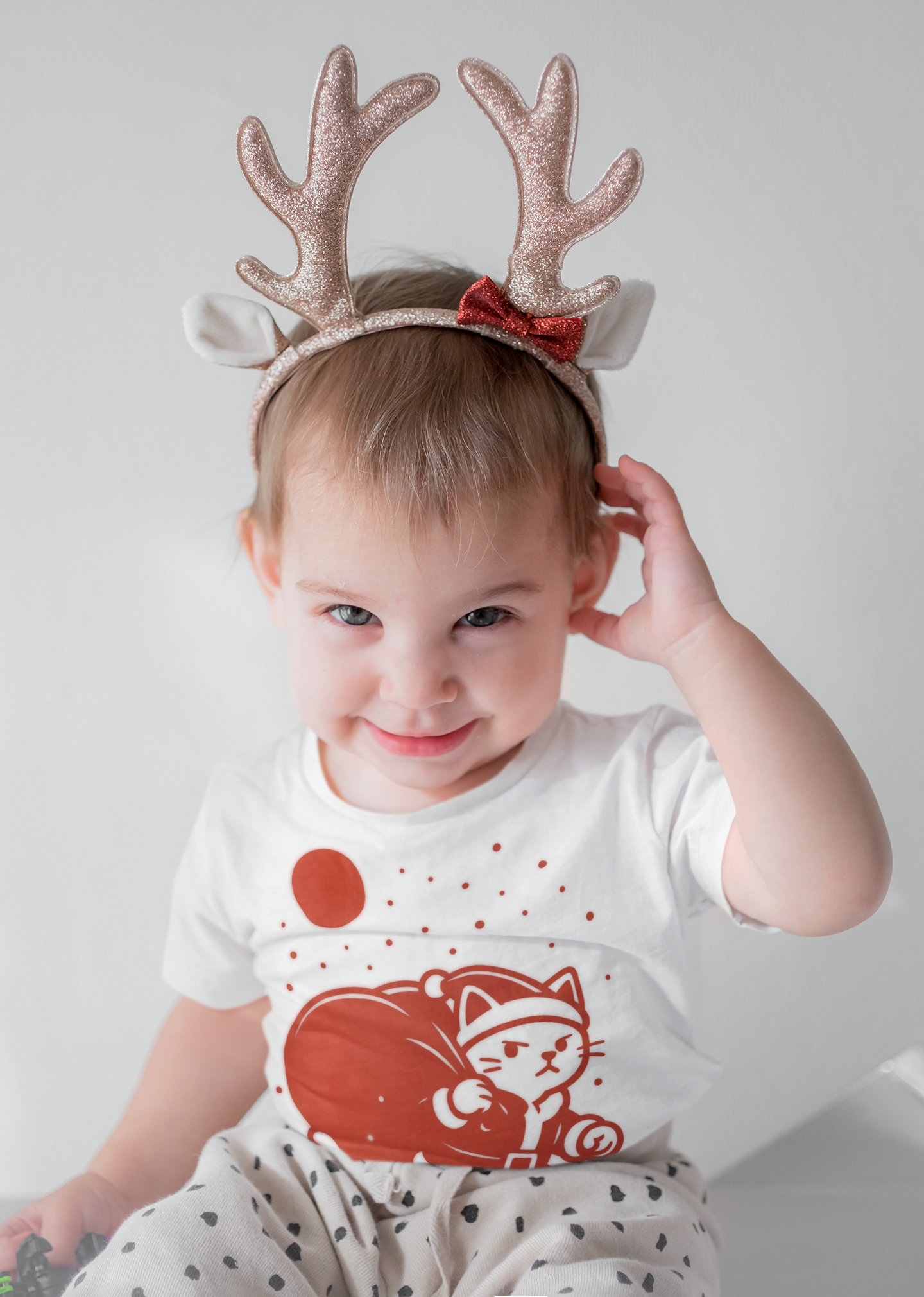 Santa Cat Brings Gifts