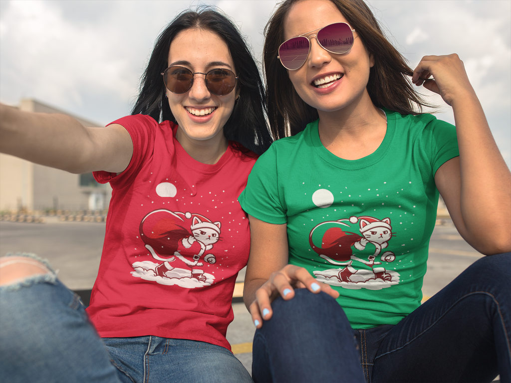 Santa Cat Brings Gifts